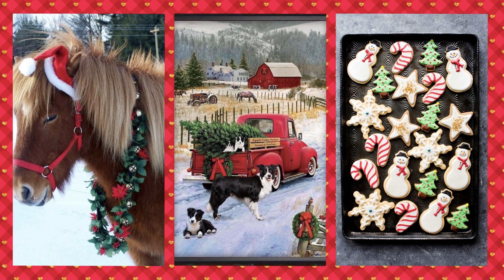 Christmas on the Farm and A Country Christmas Shopping Event - Saturday